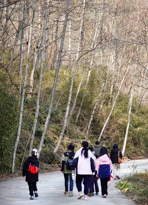 IM电竞乐享绵州 欢喜过年 来平武热热闹闹过大年6大主题30余项活动邀你畅玩春节(图24)